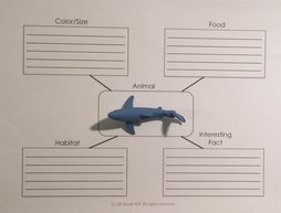 Shark TOOB with semantic map for articulation therapy